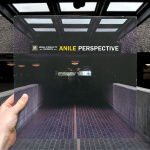 Anile – Perspective