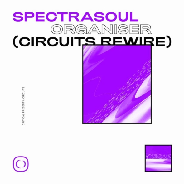 SpectraSoul – Organiser (Circuits Rewire) [Critical Music]