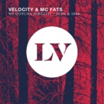 Velocity – We Gotcha Junglist / Hide & Seek [Liquid V]