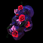 Hyroglifics – Stone Rose EP [Critical Music]